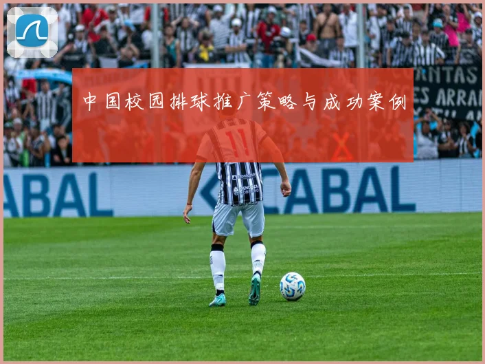 中国校园排球推广策略与成功案例